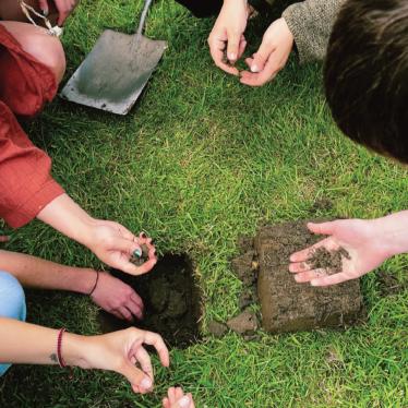 topsoil pic.png